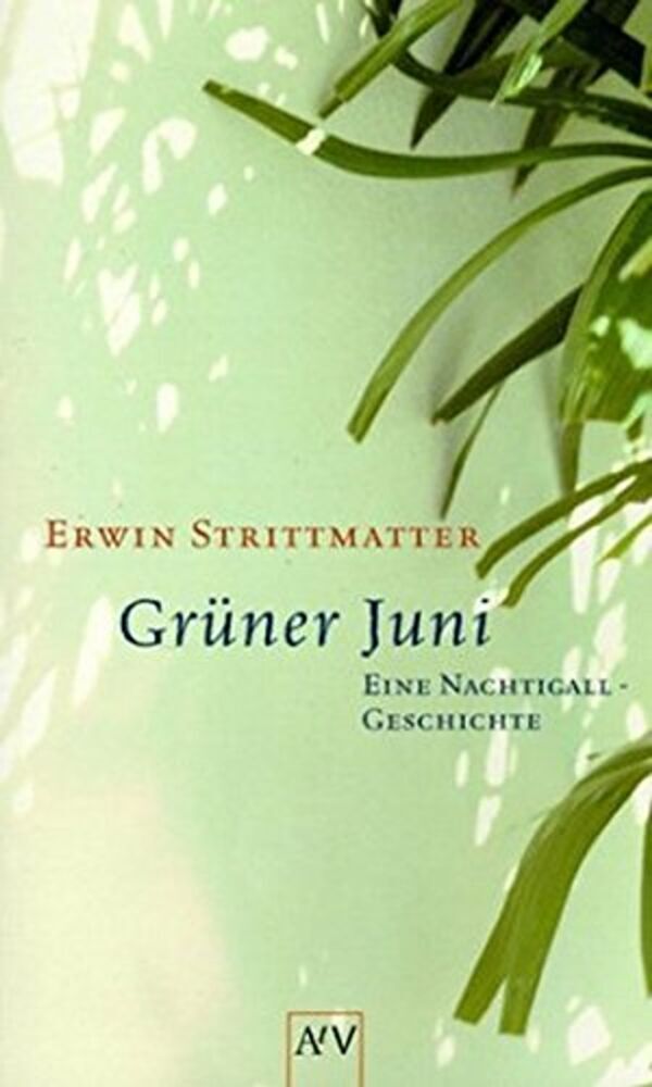 Cover: 9783746654331 | Grüner Juni | Eine Nachtigall-Geschichte | Erwin Strittmatter | Buch