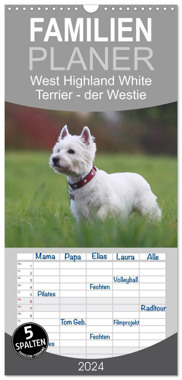 Cover: 9783383079368 | Familienplaner 2024 - West Highland White Terrier - Selbstbewustes...