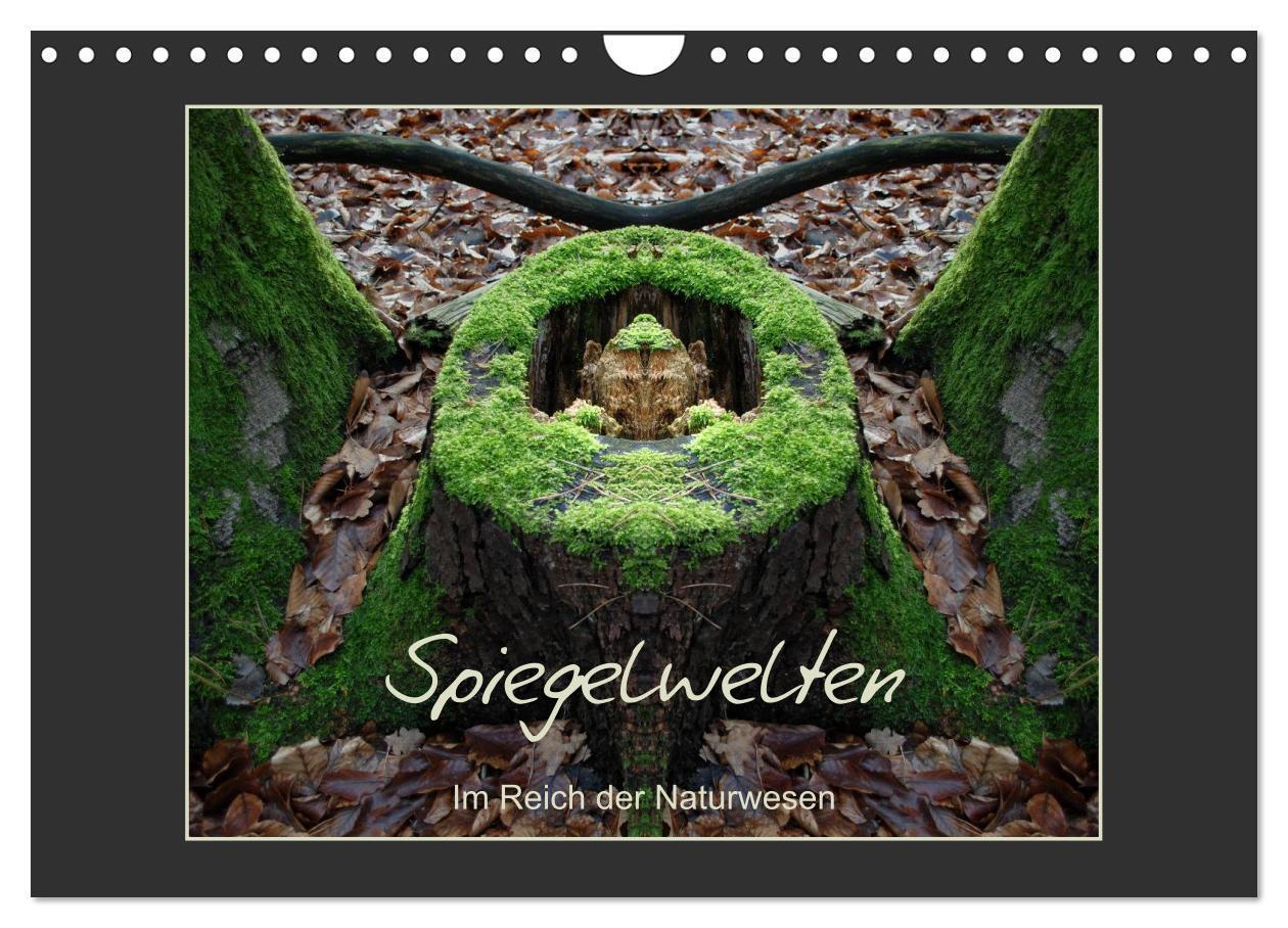 Cover: 9783383615269 | Spiegelwelten - Im Reich der Naturwesen (Wandkalender 2024 DIN A4...
