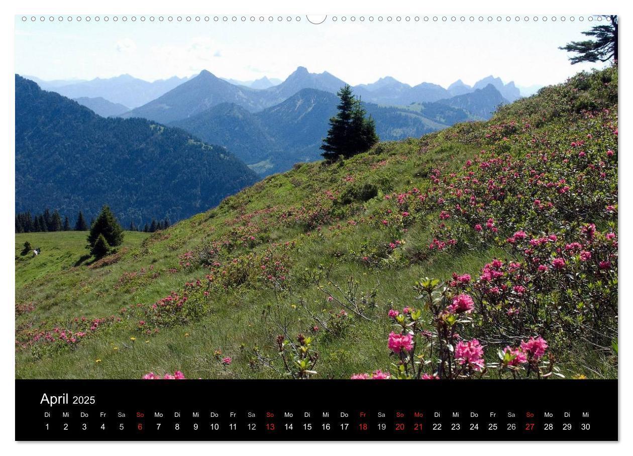 Bild: 9783435558377 | Allgäuer Impressionen (Wandkalender 2025 DIN A2 quer), CALVENDO...