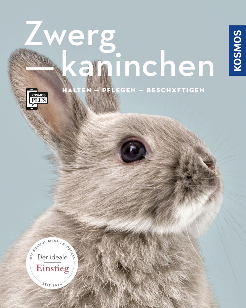 Cover: 9783440157466 | Zwergkaninchen | halten, pflegen, beschäftigen | Angela Beck | Buch