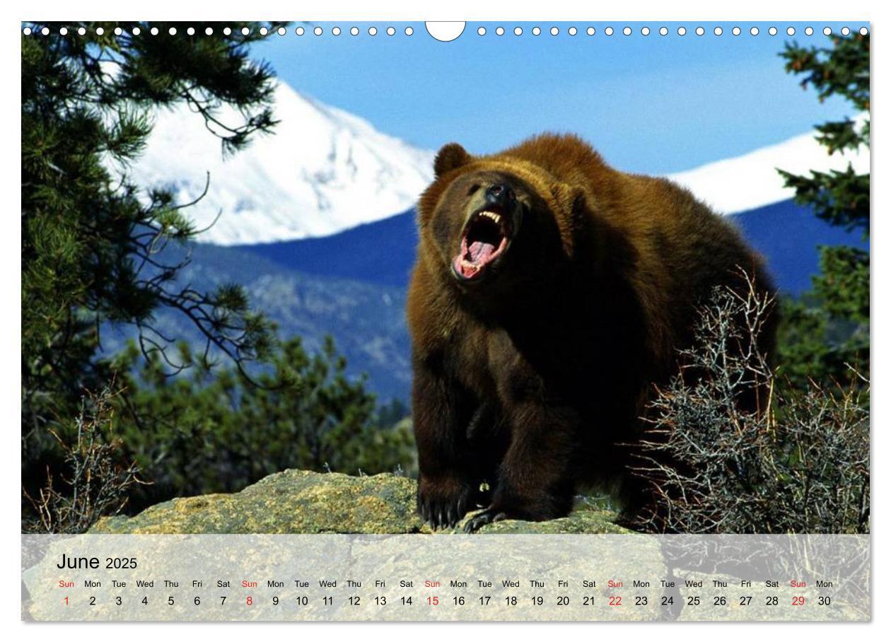 Bild: 9781325960514 | Canada Impressions (Wall Calendar 2025 DIN A3 landscape), CALVENDO...