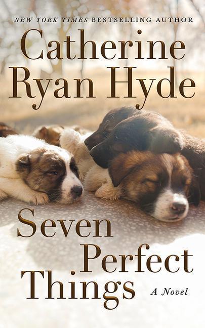 Cover: 9781542021548 | 7 PERFECT THINGS | Catherine Ryan Hyde | Taschenbuch | Englisch | 2021