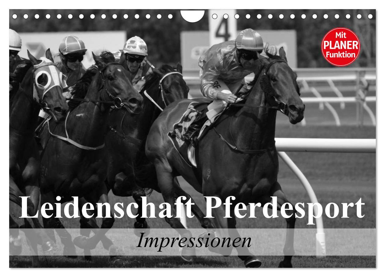 Cover: 9783435523023 | Leidenschaft Pferdesport - Impressionen (Wandkalender 2025 DIN A4...