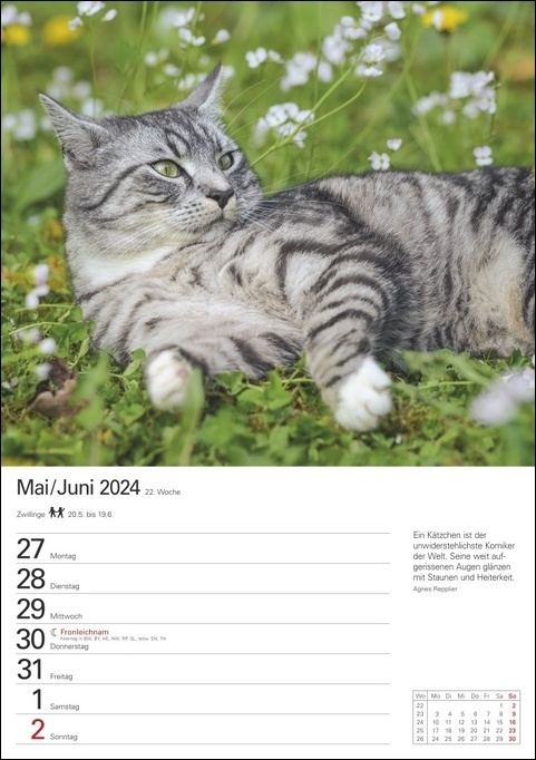 Bild: 9783840031632 | Katzen Wochenplaner. Wandkalender 2024 mit Platz für Notizen und...