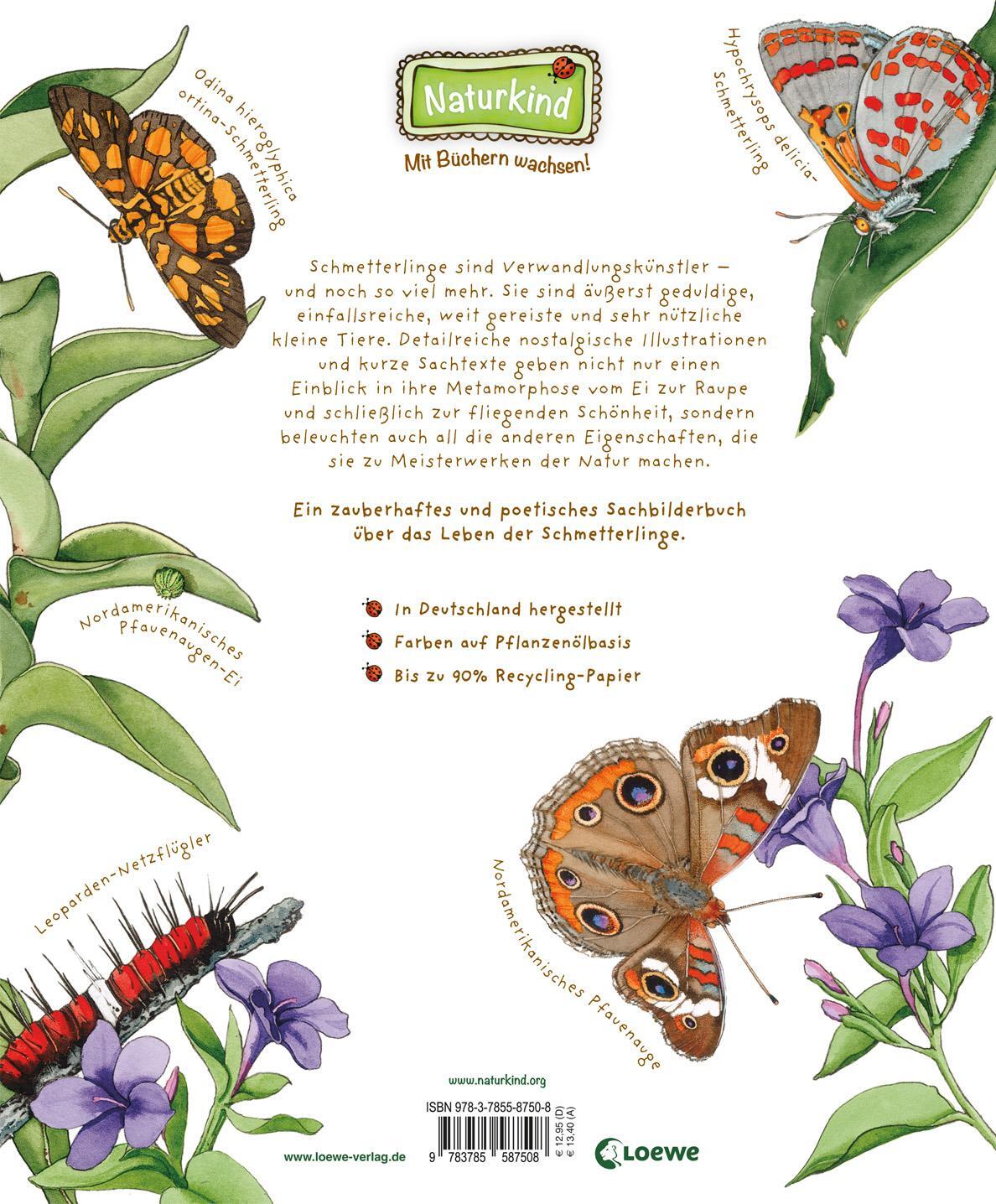 Bild: 9783785587508 | Das wundersame Leben der Schmetterlinge | Dianna Aston | Buch | 2017