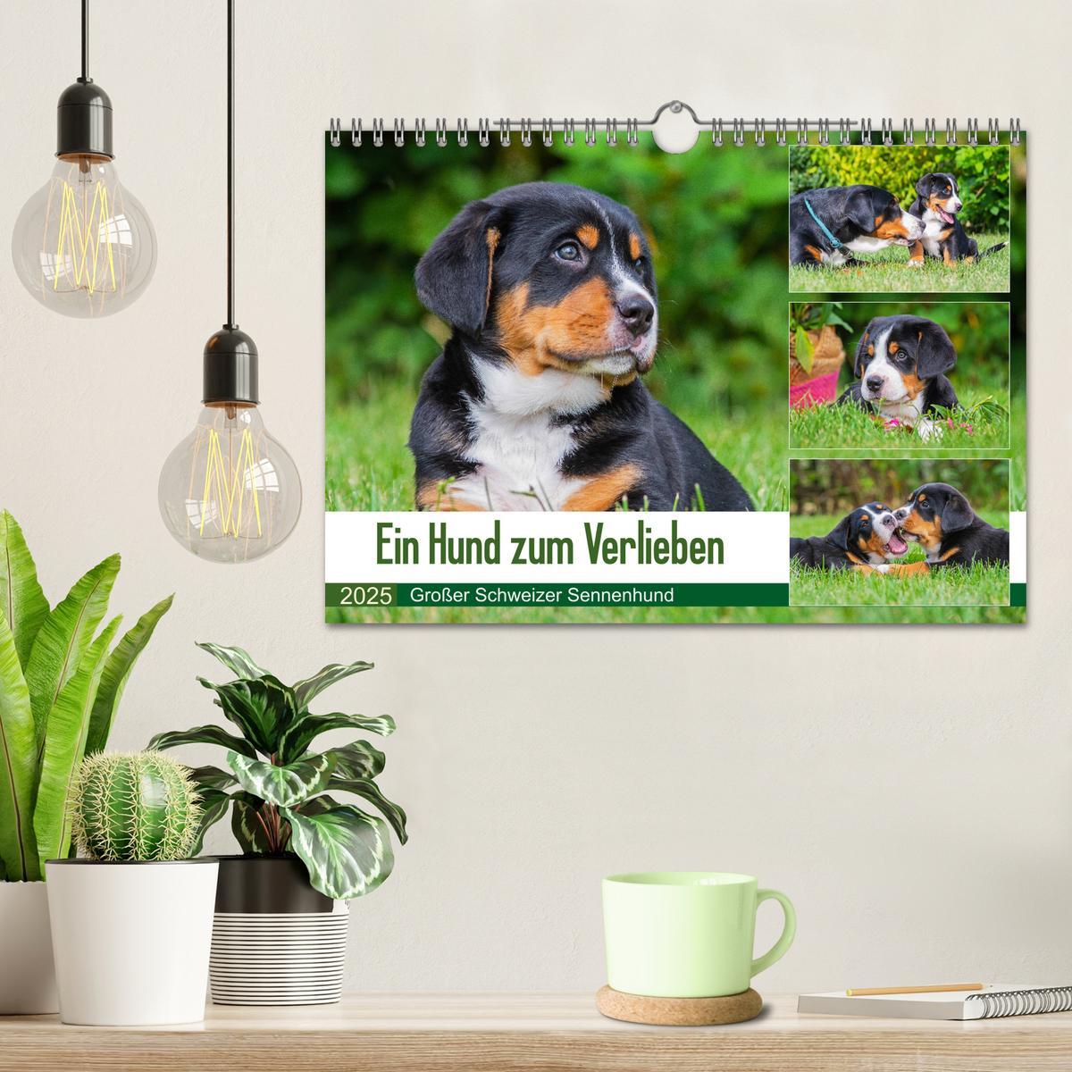 Bild: 9783435209460 | Ein Hund zum Verlieben - Großer Schweizer Sennenhund (Wandkalender...