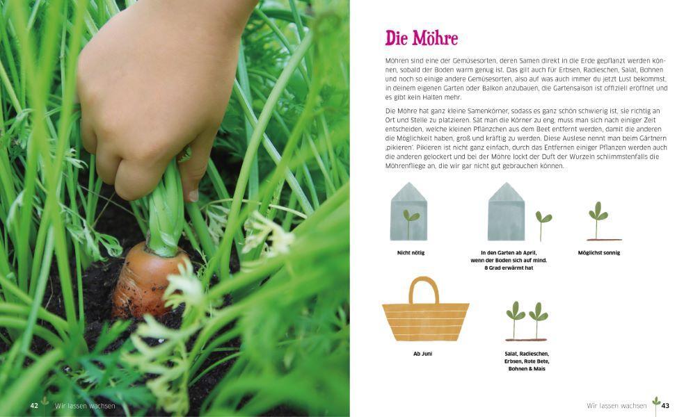 Bild: 9783841102515 | Abenteuer Gemüsegarten | Mit Kindern pflanzen, basteln und ernten