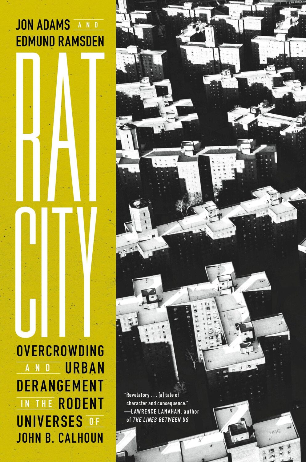 Cover: 9781685890995 | Rat City | Jon Adams (u. a.) | Buch | Einband - fest (Hardcover)