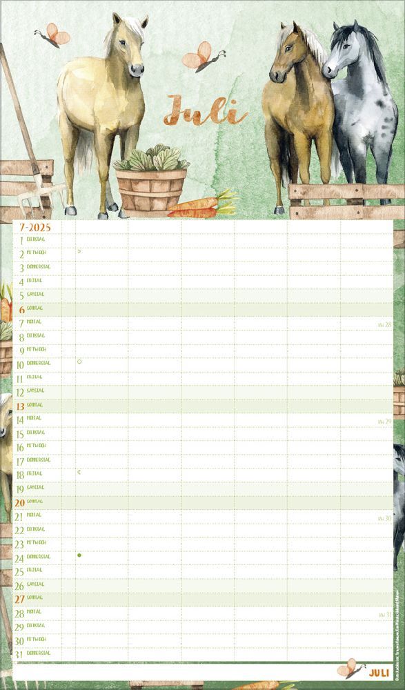 Bild: 9783731877127 | Familienplaner Aquarell 2025 | Korsch Verlag | Kalender | 14 S. | 2026