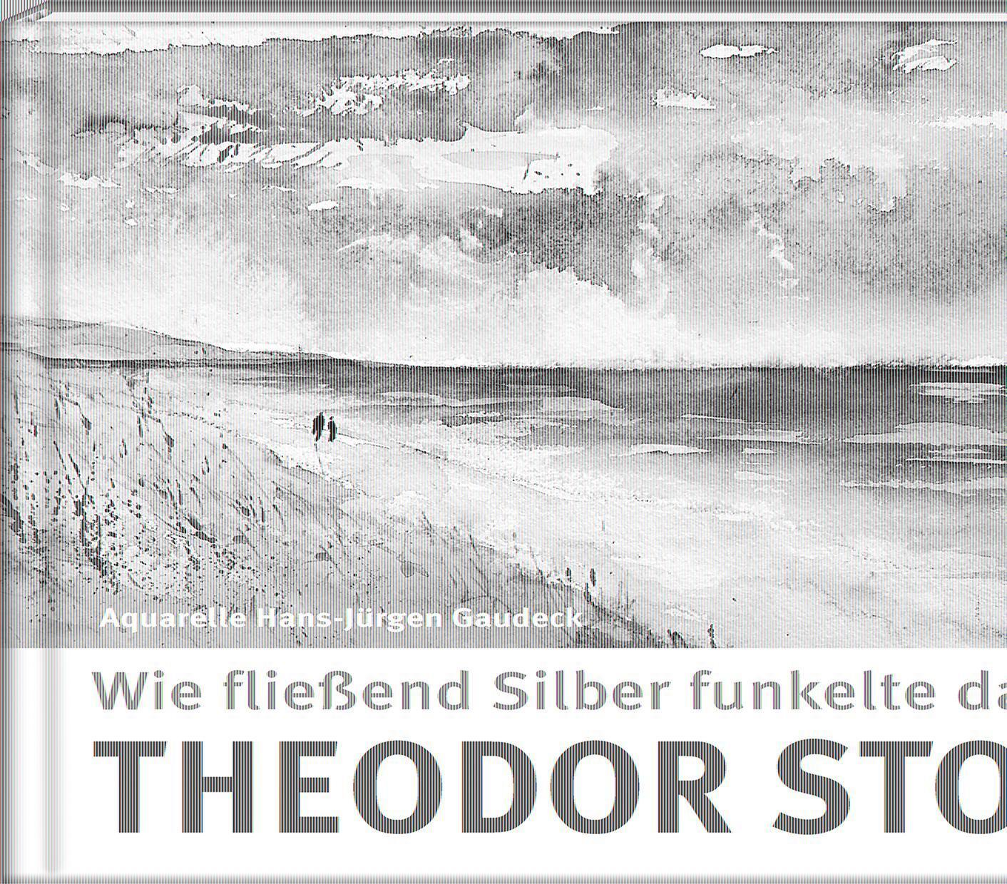 Cover: 9783957990778 | Wie fließend Silber funkelte das Meer | Theodor Storm | Buch | 84 S.