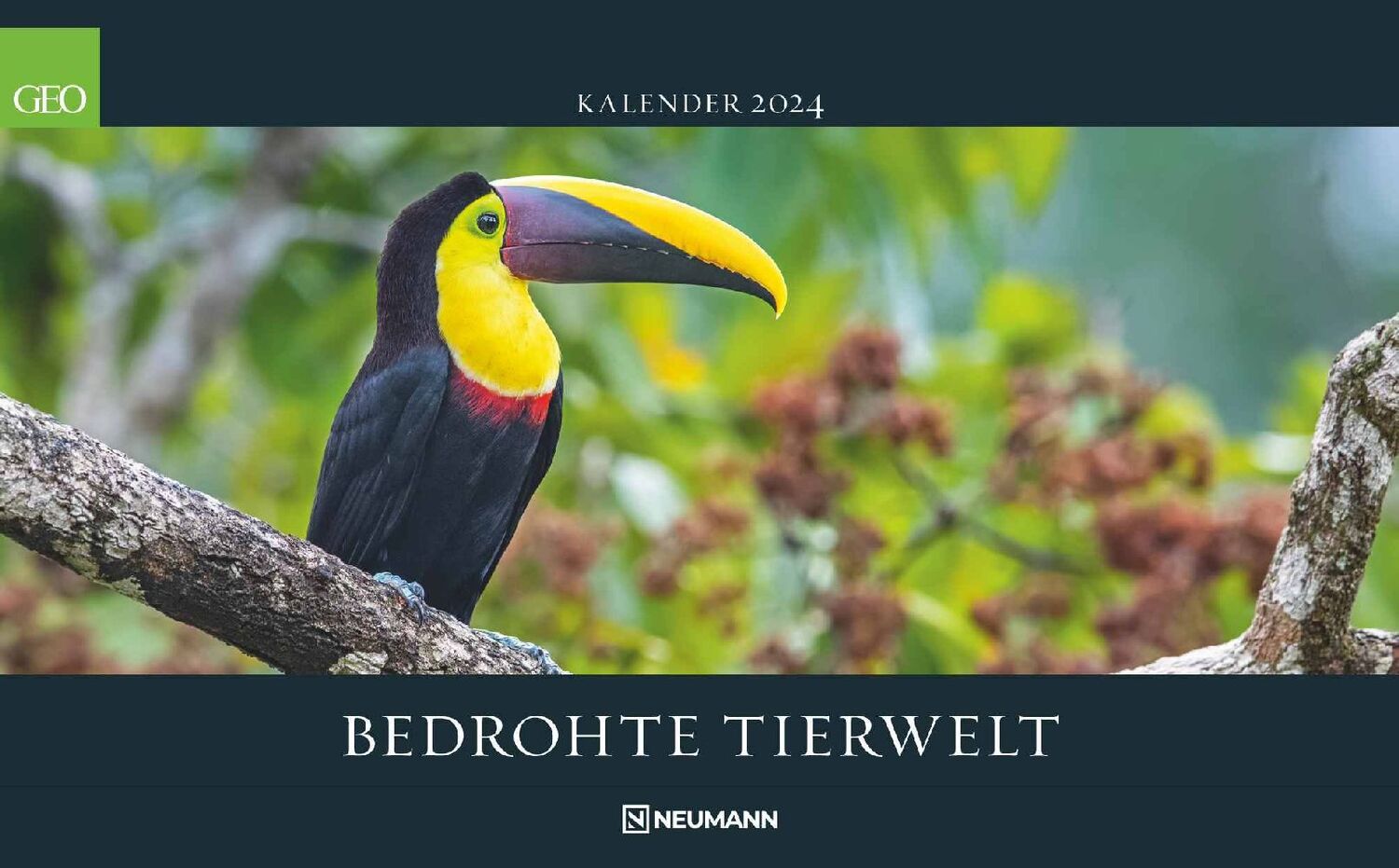 Cover: 4002725988522 | GEO Bedrohte Tierwelt 2024 - Wand-Kalender - Tier-Kalender -...