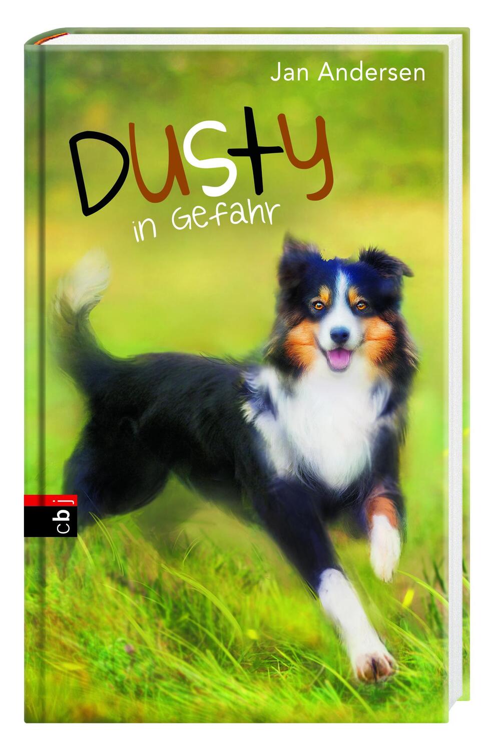 Bild: 9783570173398 | Dusty in Gefahr | Jan Andersen | Buch | Die Dusty-Reihe | 203 S. | cbj