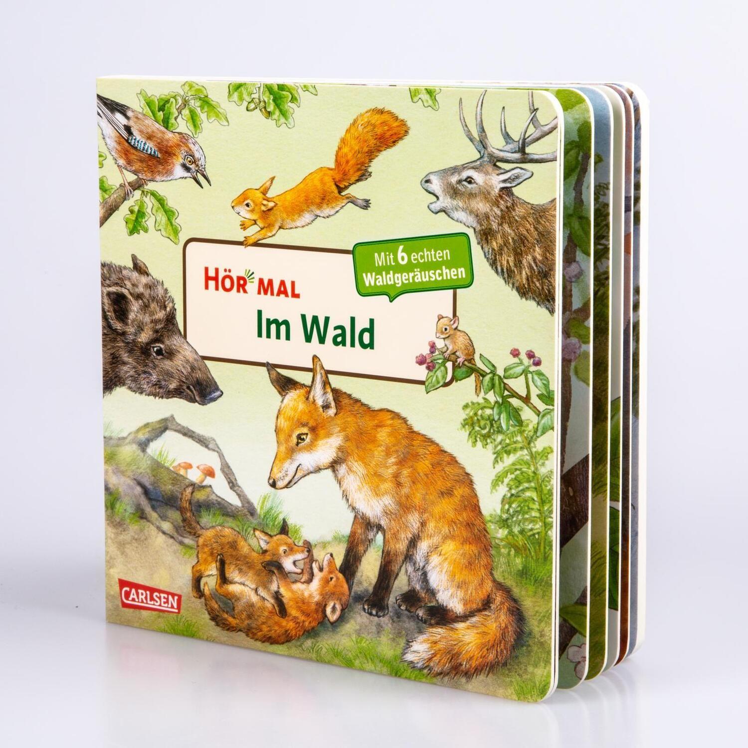 Bild: 9783551250438 | Hör mal (Soundbuch): Im Wald | Anne Möller | Buch | 14 S. | Deutsch