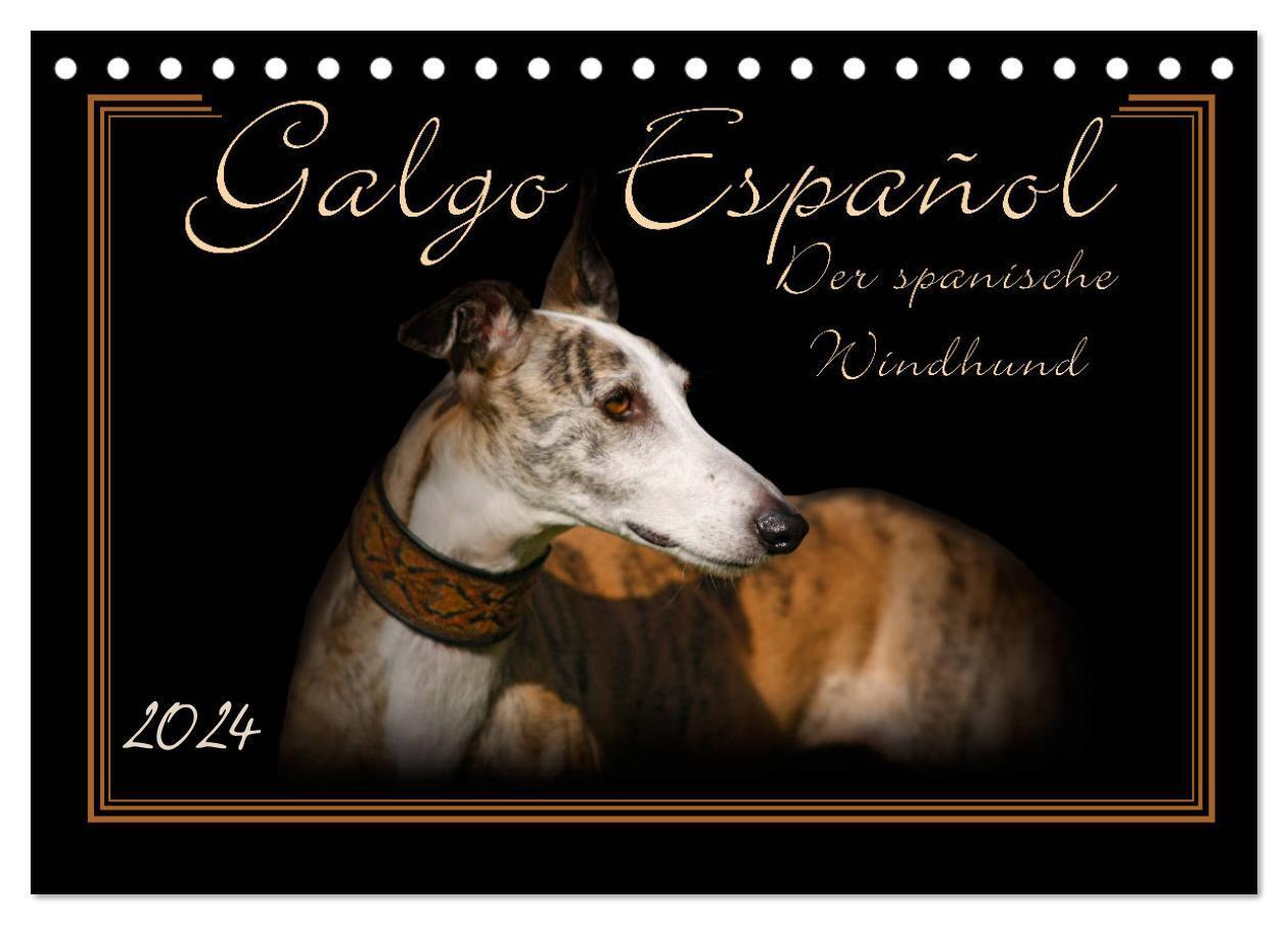 Cover: 9783675637702 | Galgo Español 2024- Der spanische Windhund (Tischkalender 2024 DIN...