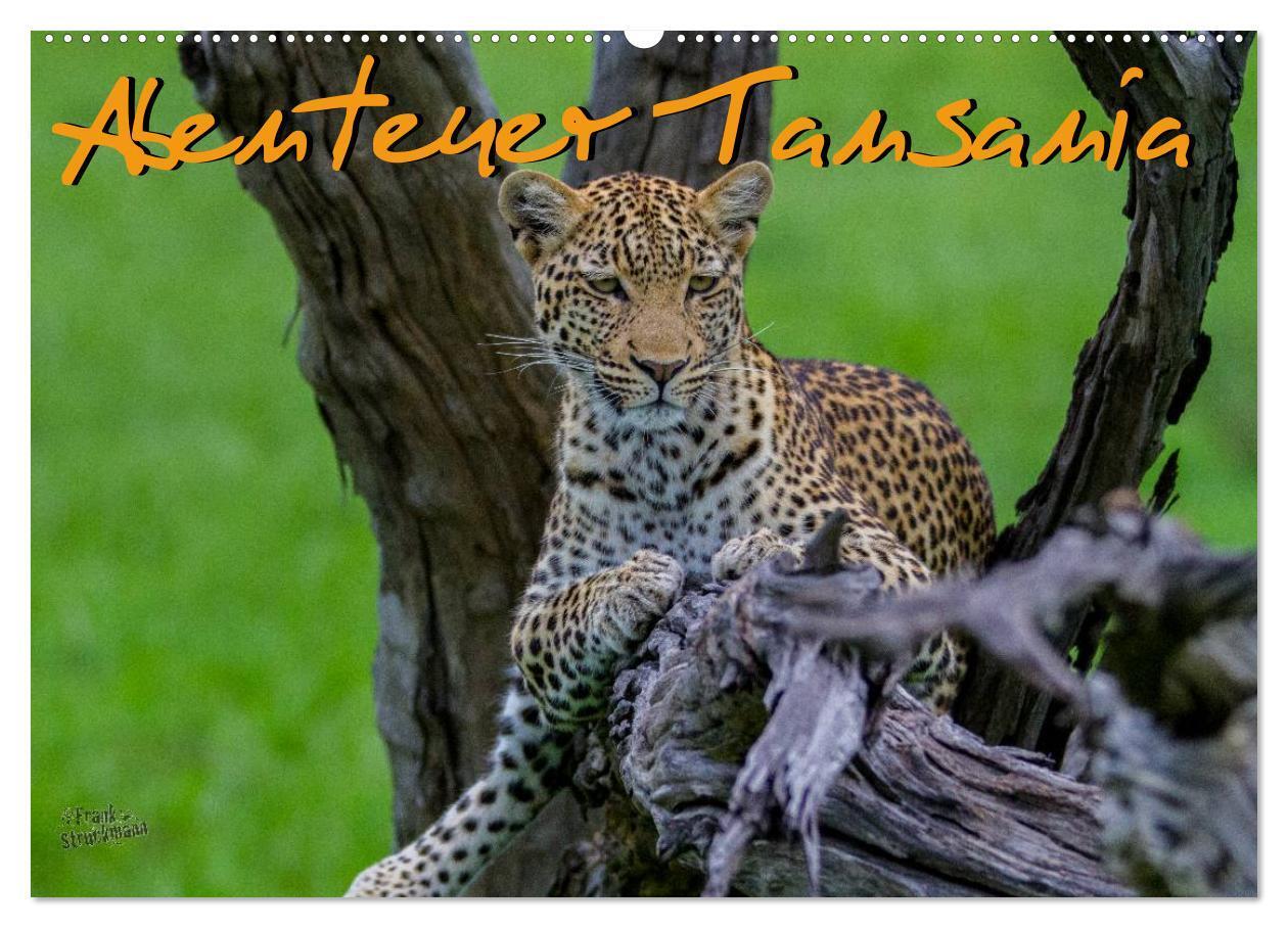 Cover: 9783383600739 | Abenteuer Tansania, Afrika (Wandkalender 2024 DIN A2 quer),...
