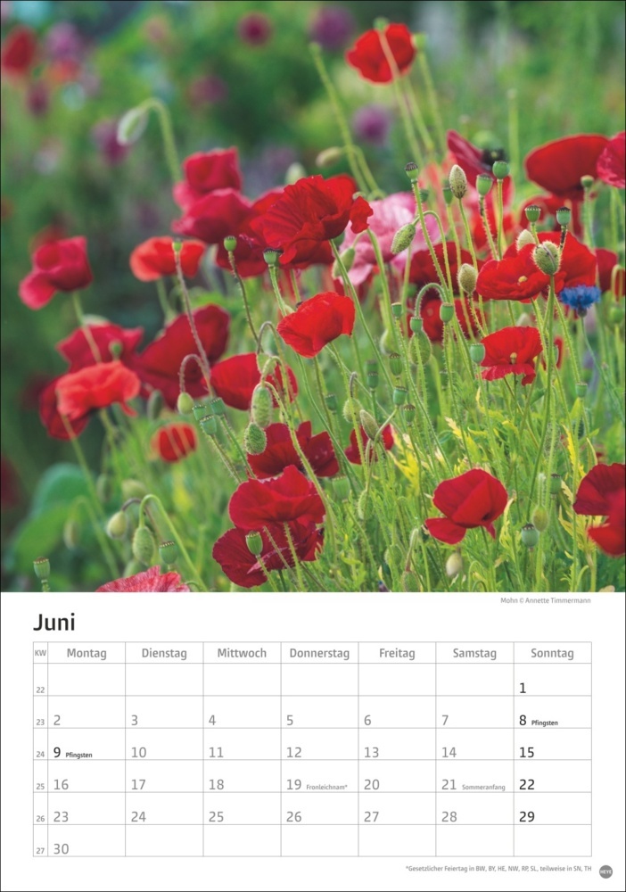 Bild: 9783756405572 | Gartenzauber Kalender 2025 | Kalender | Spiralbindung | 13 S. | 2025