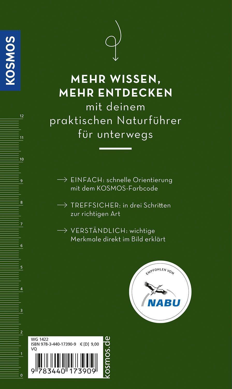 Bild: 9783440173909 | BASIC Bäume | Katrin Hecker (u. a.) | Taschenbuch | 128 S. | Deutsch