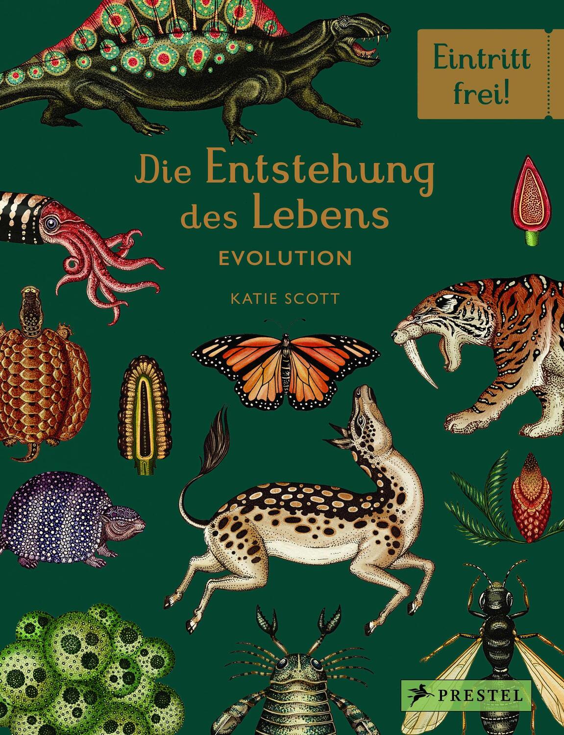 Cover: 9783791373089 | Die Entstehung des Lebens. Evolution | Eintritt frei! | Munro (u. a.)