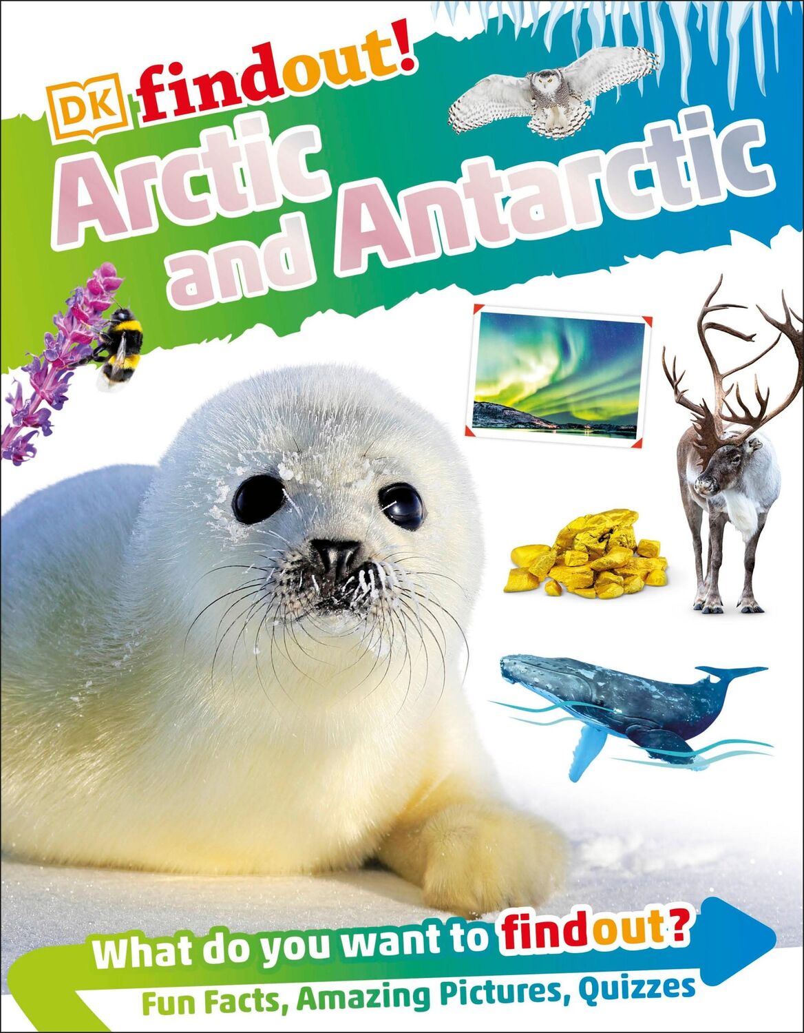 Cover: 9780241538470 | DKFindout! Arctic and Antarctic | Dk | Taschenbuch | Englisch | 2022