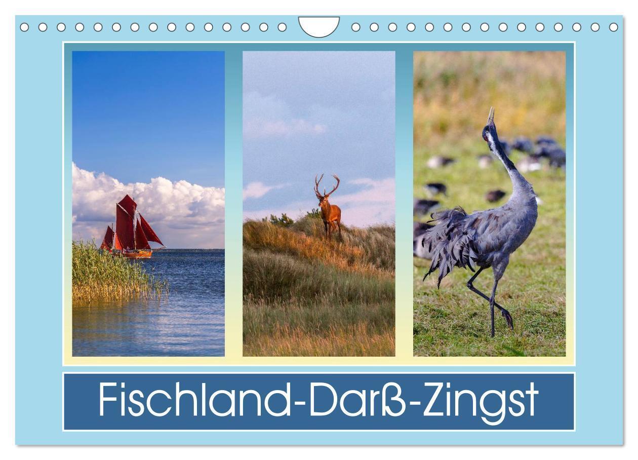 Cover: 9783383407512 | Fischland-Darß-Zingst (Wandkalender 2024 DIN A4 quer), CALVENDO...