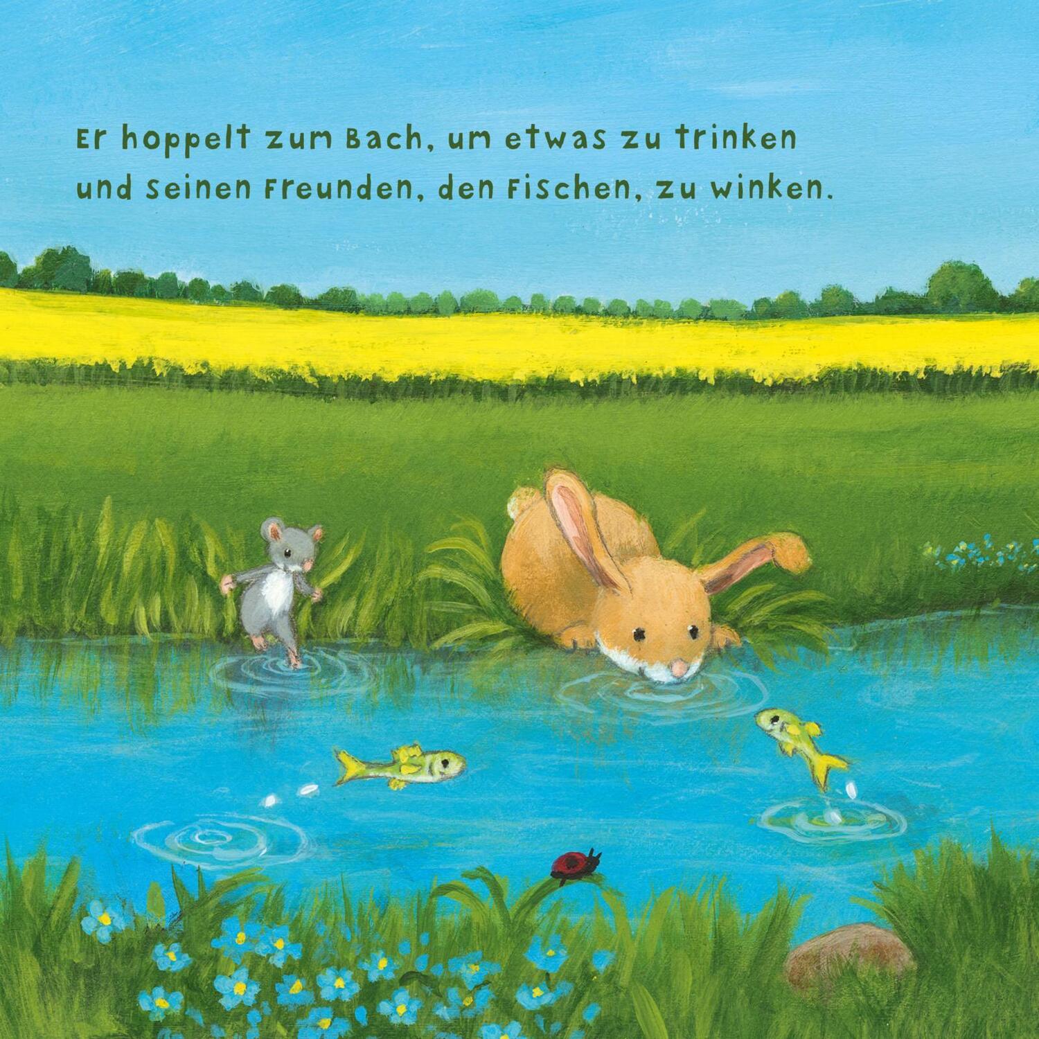 Bild: 9783551051998 | Baby Pixi (unkaputtbar) 97: Der kleine Hase | Susanne Lütje | Buch