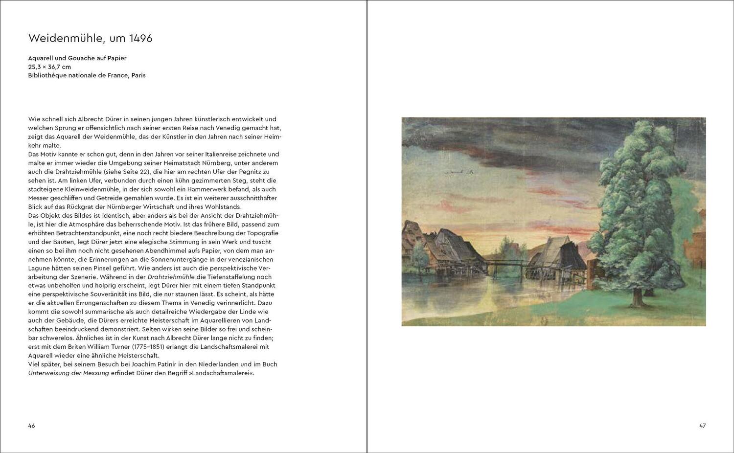 Bild: 9783791377568 | Große Meister der Kunst: Dürer | Florian Heine | Buch | 112 S. | 2024