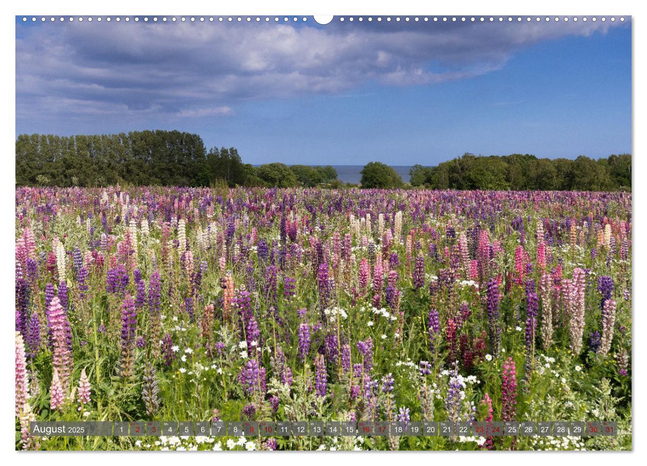 Bild: 9783383921117 | Bornholm Juwel der Ostsee (Wandkalender 2025 DIN A2 quer), CALVENDO...