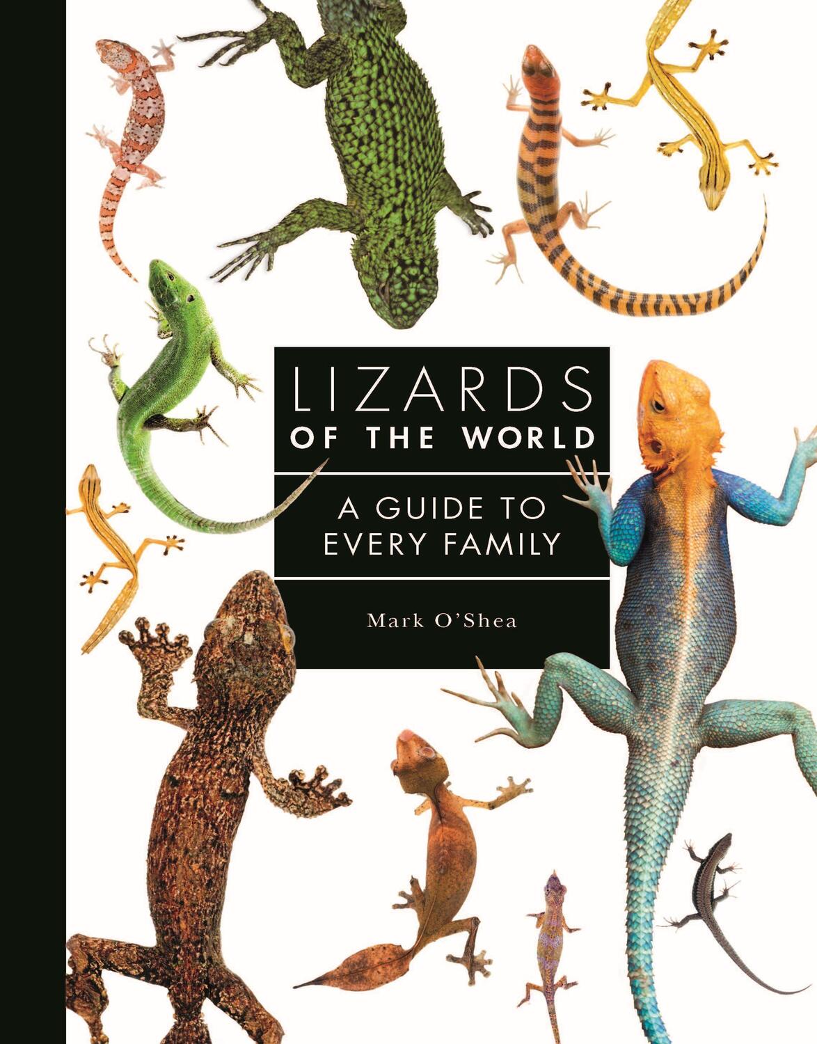Cover: 9781782409571 | Lizards of the World | A Guide to Every Family | Mark O'Shea | Buch
