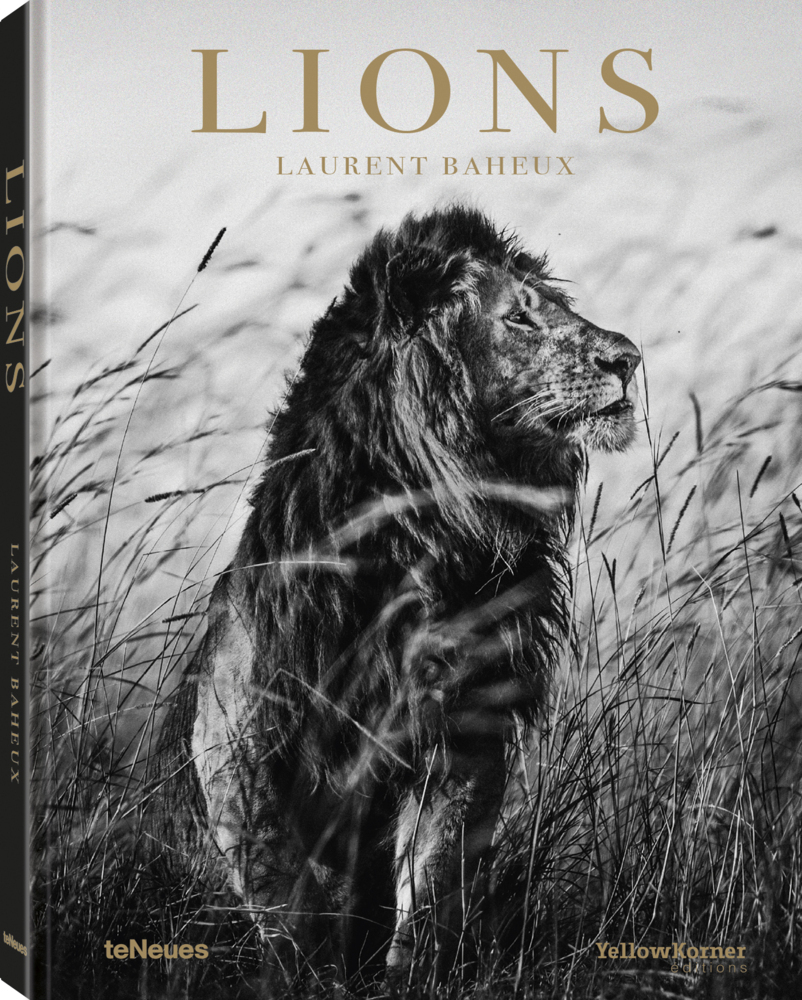 Cover: 9783961712342 | Lions | Laurent Baheux | Buch | 192 S. | Deutsch | 2019