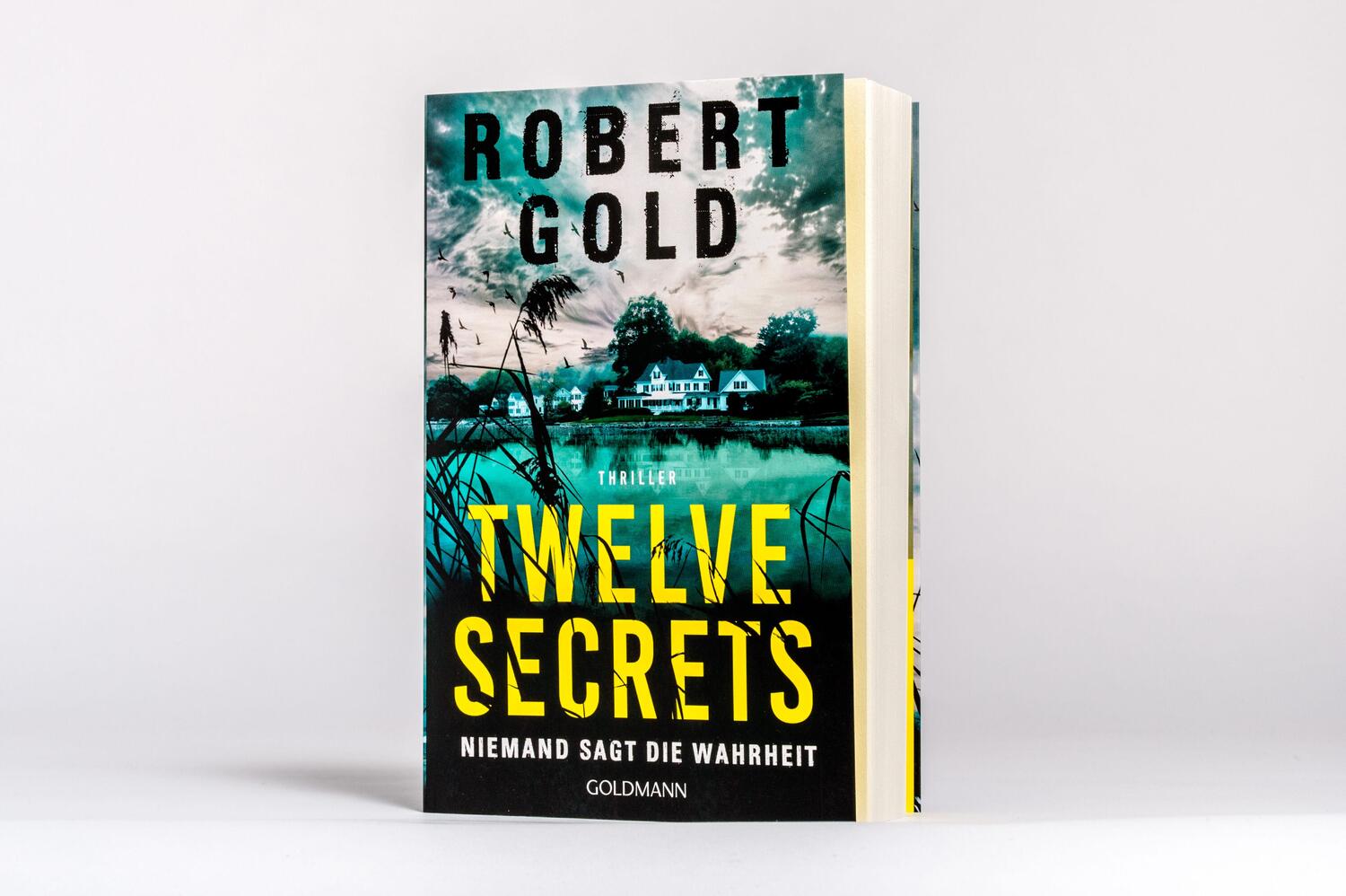 Bild: 9783442494385 | Twelve Secrets - | Niemand sagt die Wahrheit - Thriller | Robert Gold