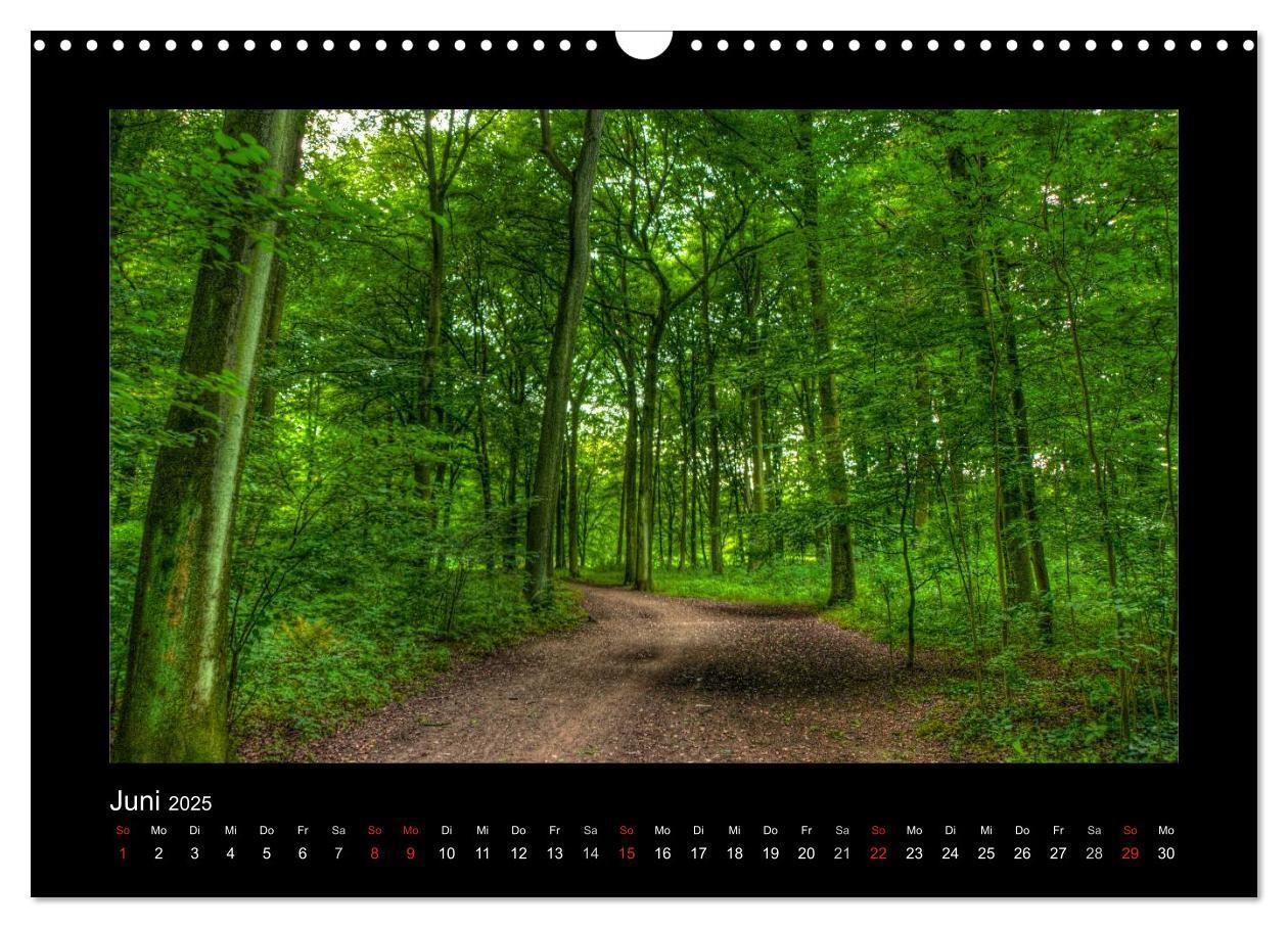 Bild: 9783435789740 | Landschaften im besonderen Licht (Wandkalender 2025 DIN A3 quer),...