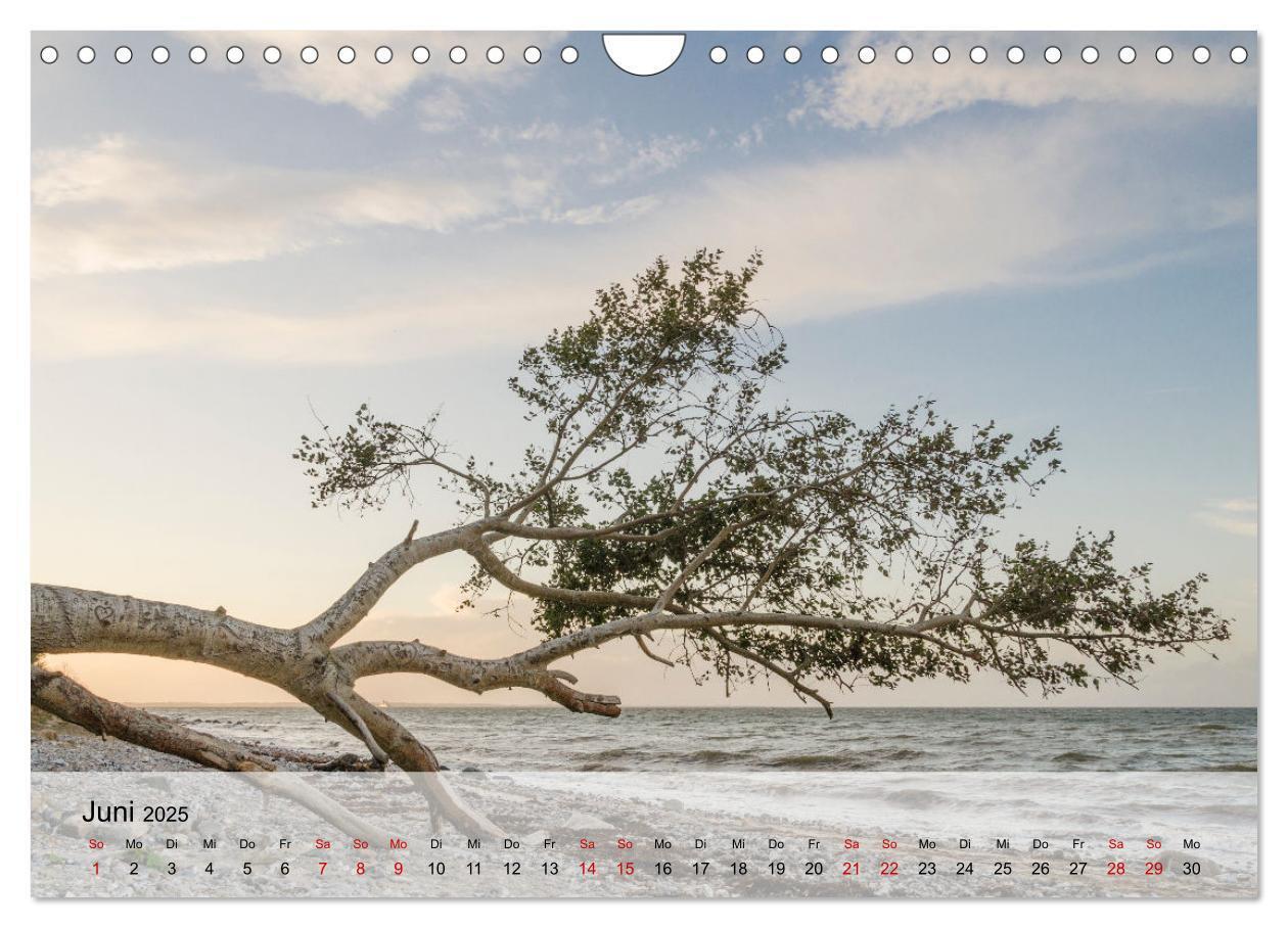 Bild: 9783383959622 | Ostseeküste Schwedeneck 2025 (Wandkalender 2025 DIN A4 quer),...