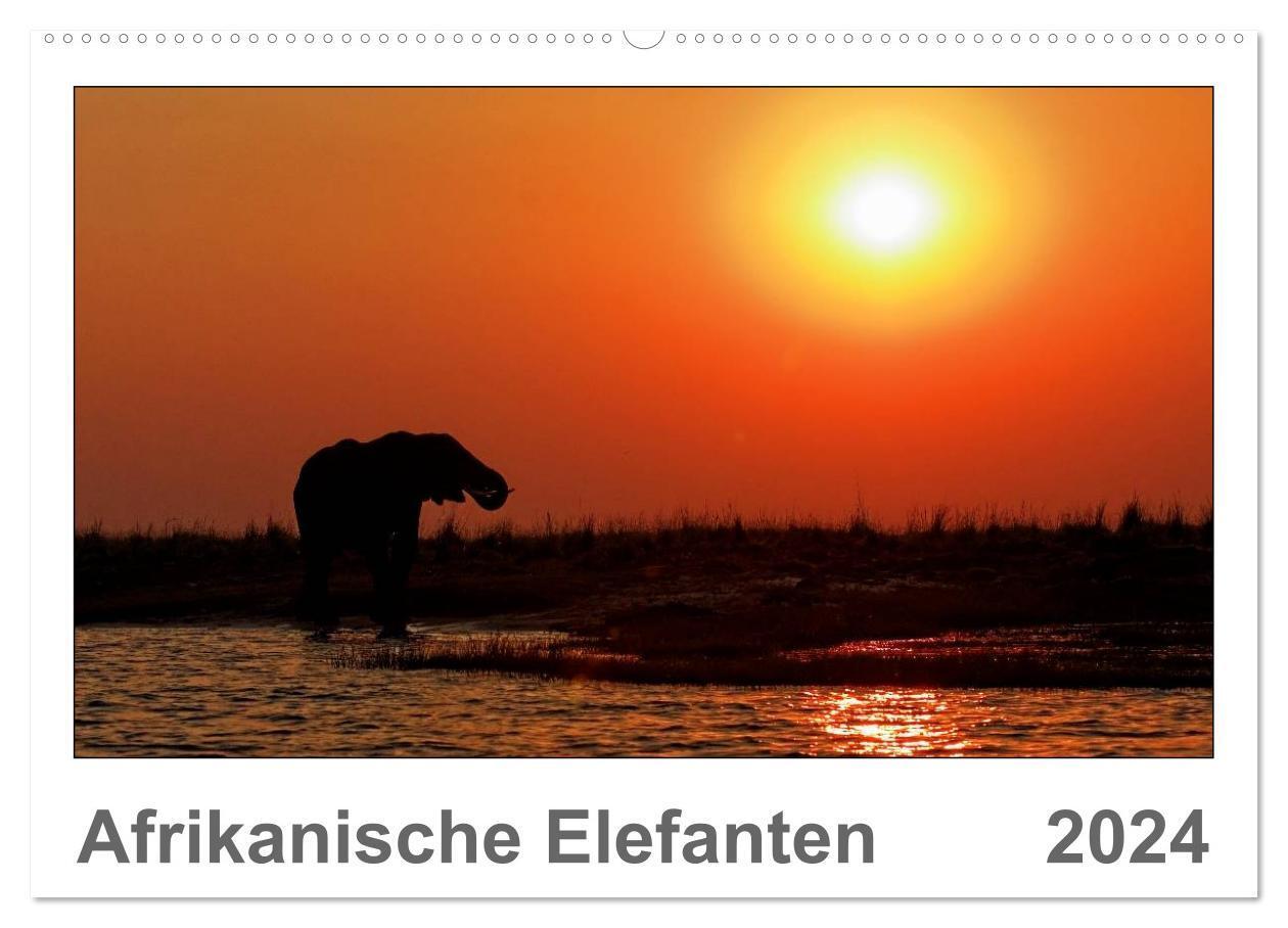 Cover: 9783383600654 | Afrikanische Elefanten (Wandkalender 2024 DIN A2 quer), CALVENDO...