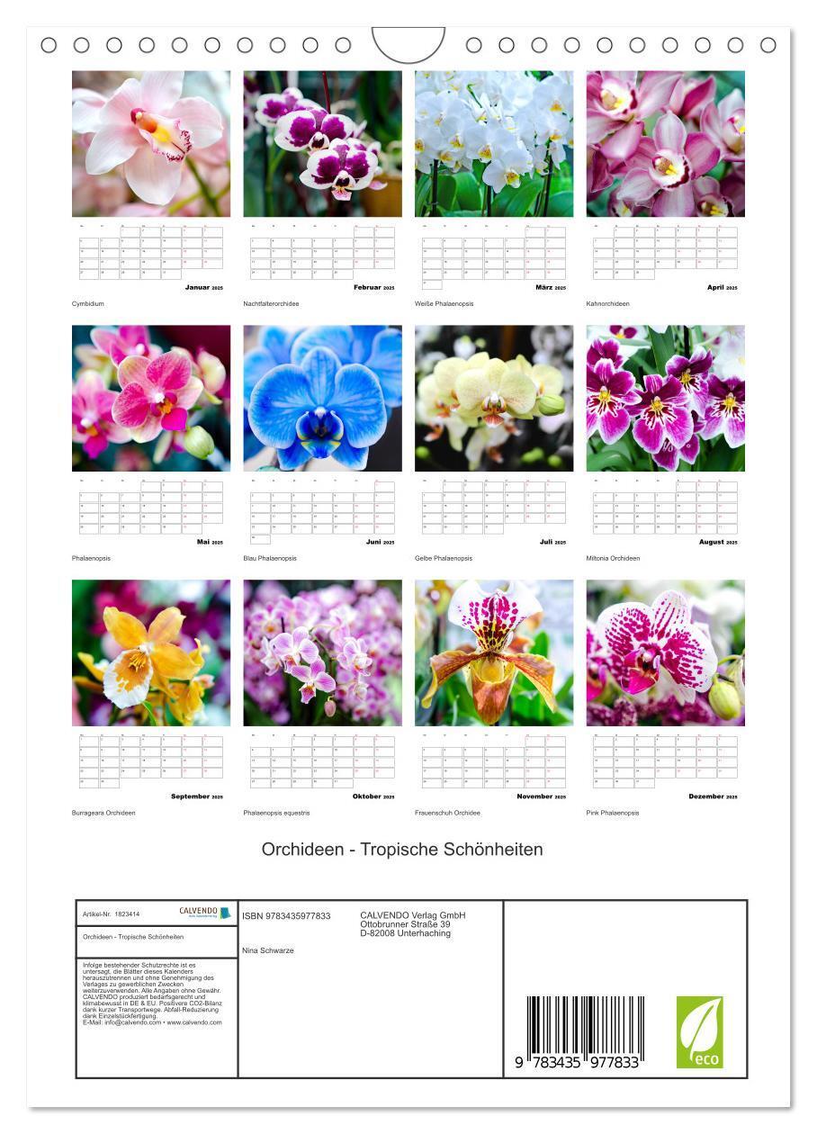 Bild: 9783435977833 | Orchideen - Tropische Schönheiten (Wandkalender 2025 DIN A4 hoch),...