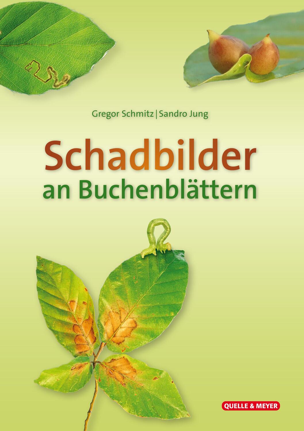 Cover: 9783494019291 | Schadbilder an Buchenblättern | Gregor Schmitz (u. a.) | Taschenbuch
