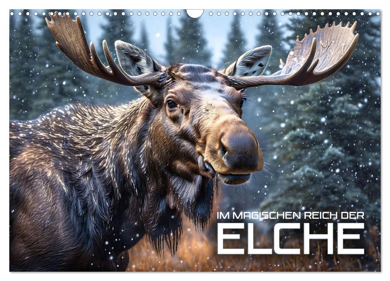 Cover: 9783435053599 | Im magischen Reich der Elche (Wandkalender 2025 DIN A3 quer),...