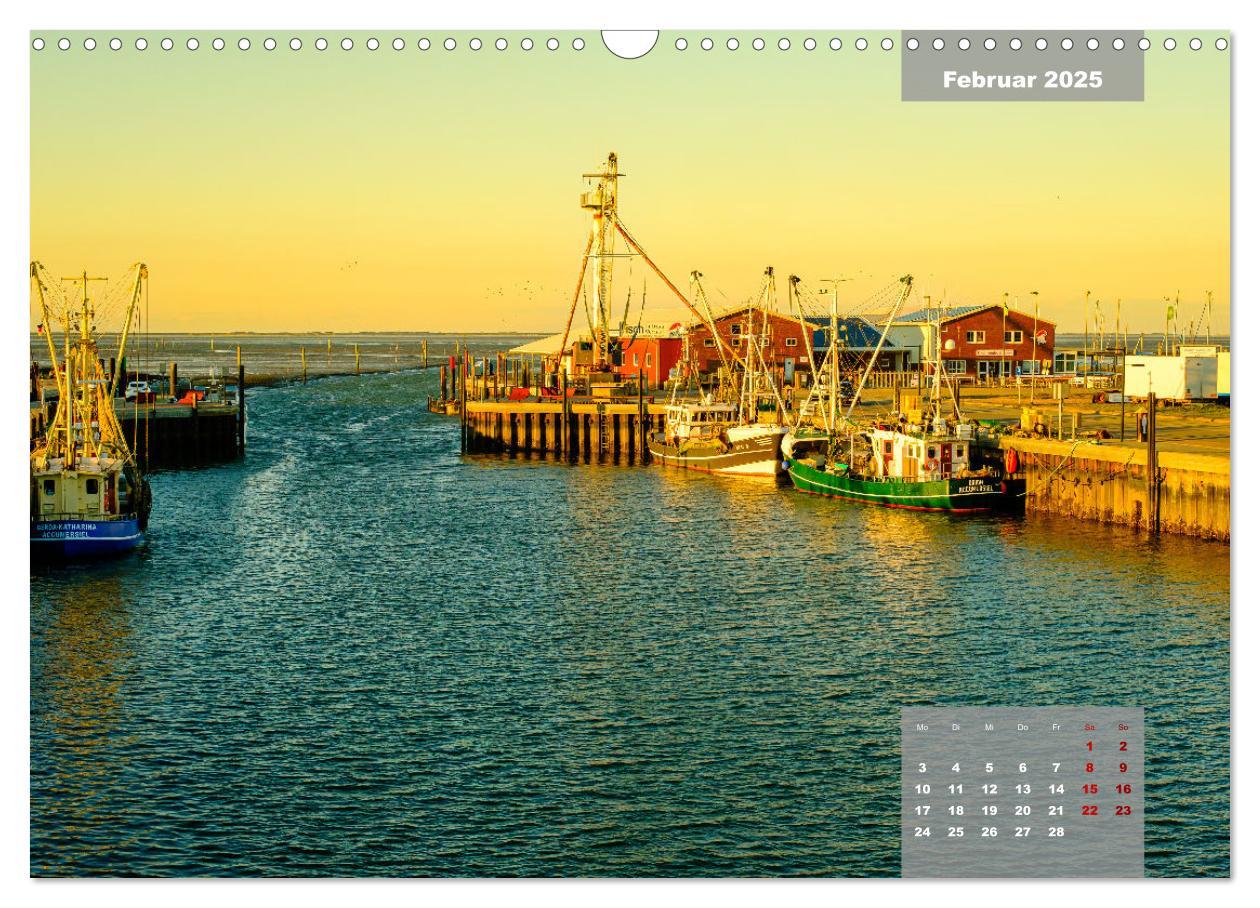 Bild: 9783383910760 | Das ist Ostfriesland (Wandkalender 2025 DIN A3 quer), CALVENDO...