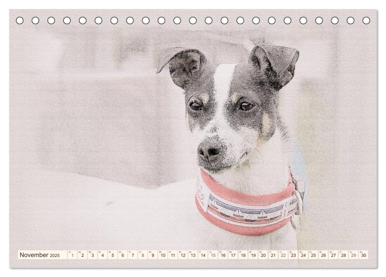 Bild: 9783435699872 | Bodeguero Andaluz 2025 (Tischkalender 2025 DIN A5 quer), CALVENDO...