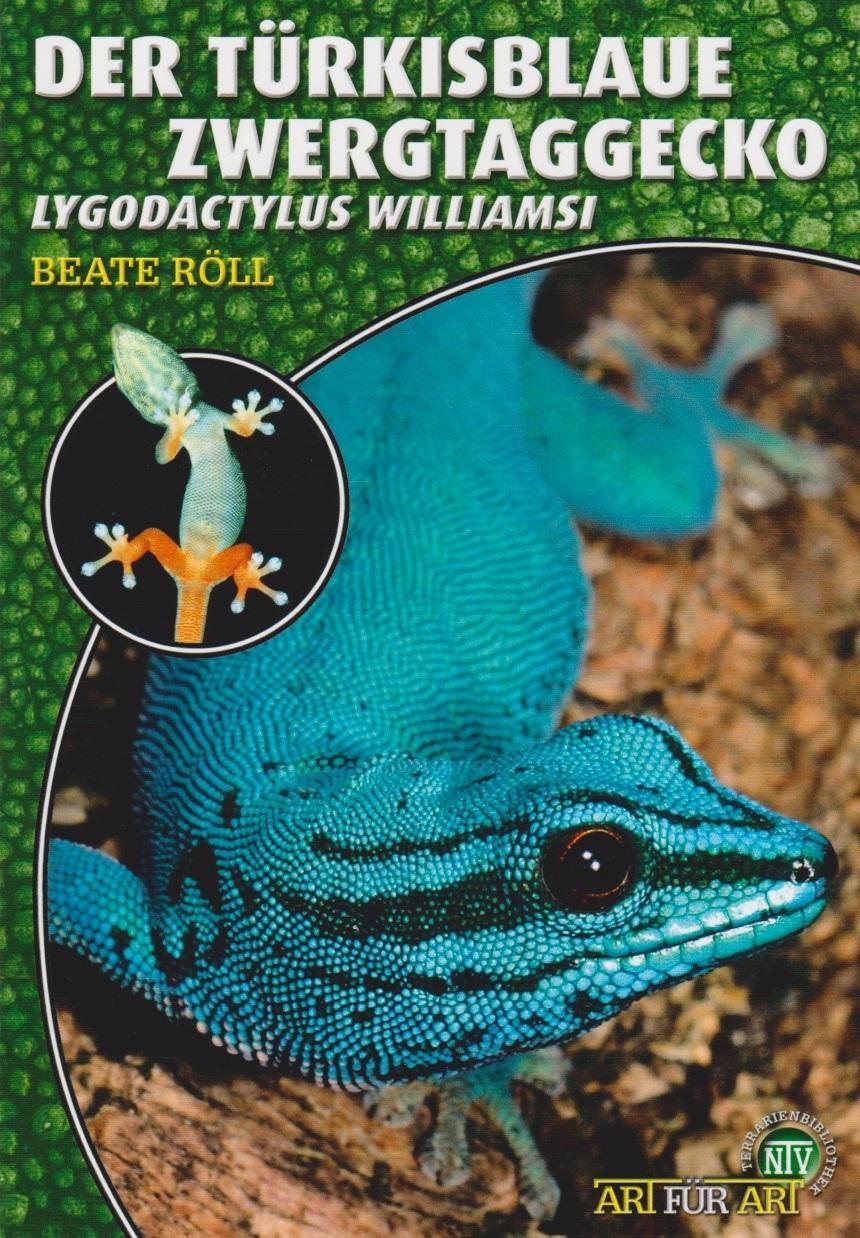 Cover: 9783866591738 | Art für Art: Der Türkisblaue Zwerggecko | Lygodactylus williamsi
