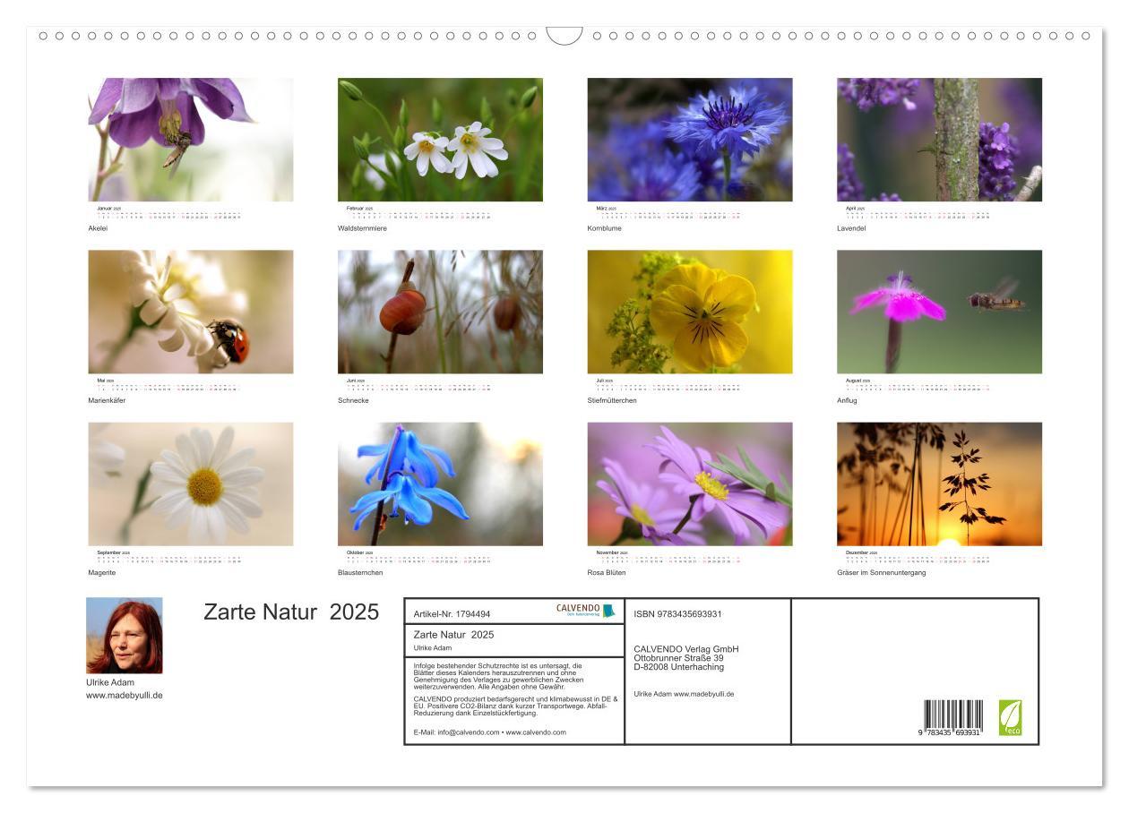 Bild: 9783435693931 | Zarte Natur 2025 (Wandkalender 2025 DIN A2 quer), CALVENDO...