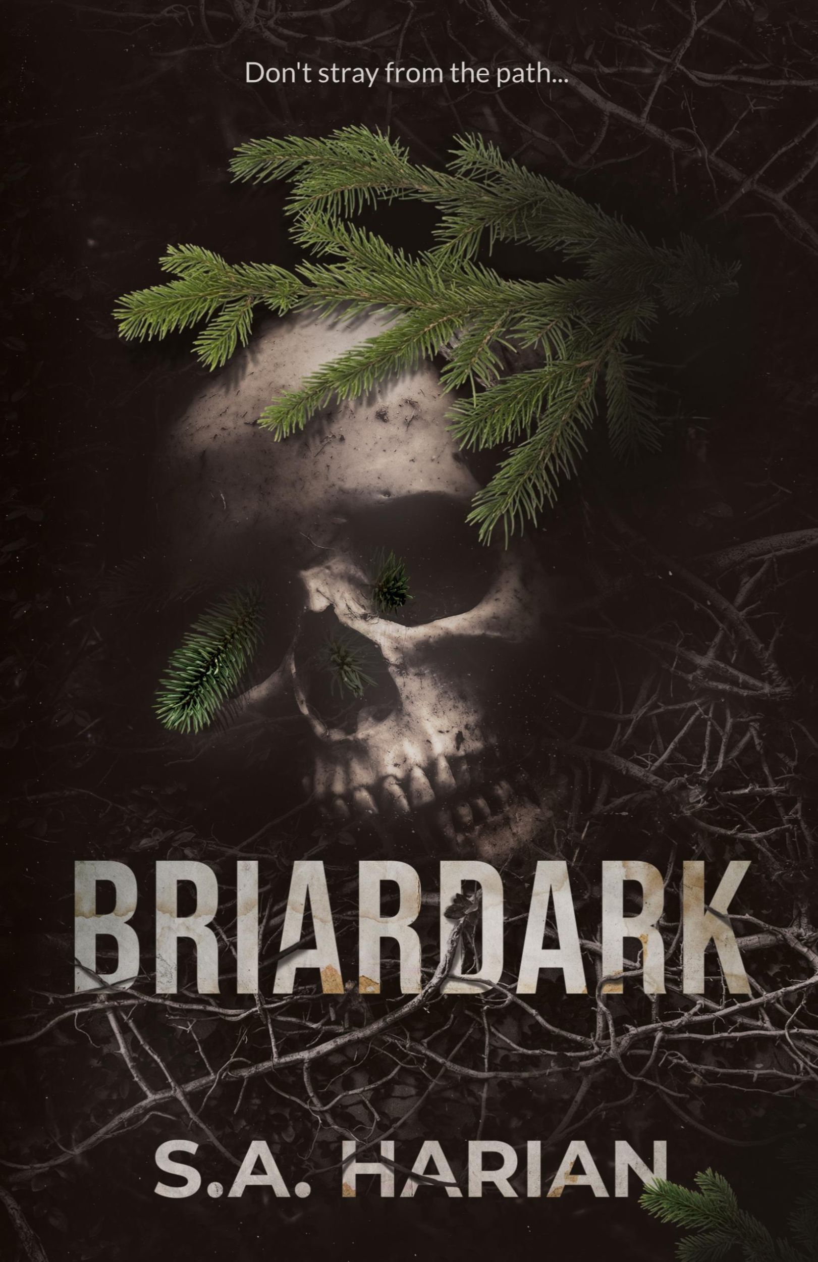 Cover: 9781959500018 | Briardark | S. A. Harian | Taschenbuch | Englisch | 2023