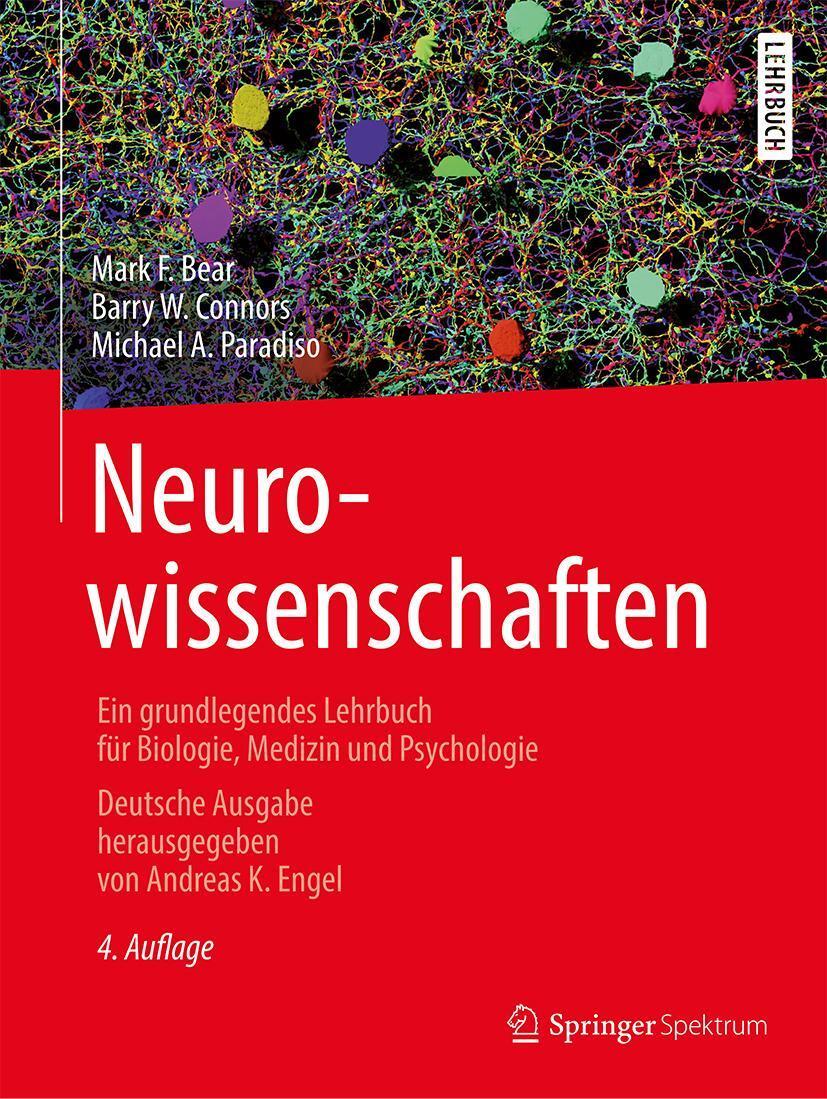 Cover: 9783662572627 | Neurowissenschaften | Mark F. Bear (u. a.) | Buch | XXXVI | Deutsch