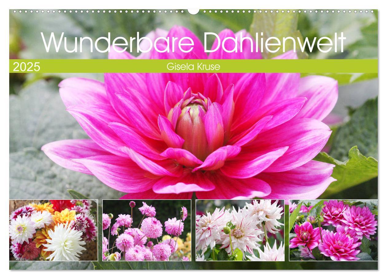 Cover: 9783435263080 | Wunderbare Dahlienwelt (Wandkalender 2025 DIN A2 quer), CALVENDO...