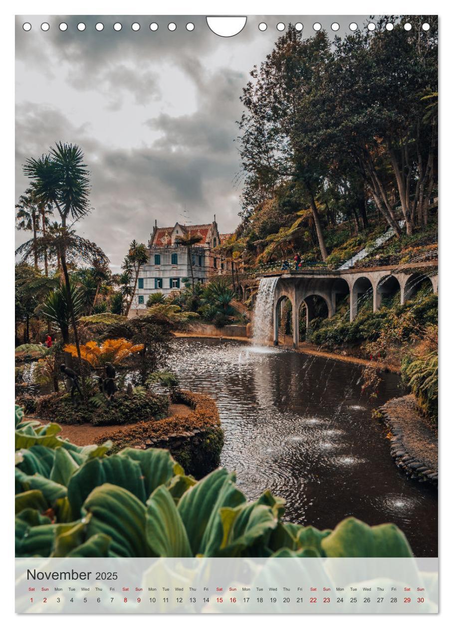 Bild: 9781325998906 | The Flower Island Madeira (Wall Calendar 2025 DIN A4 portrait),...