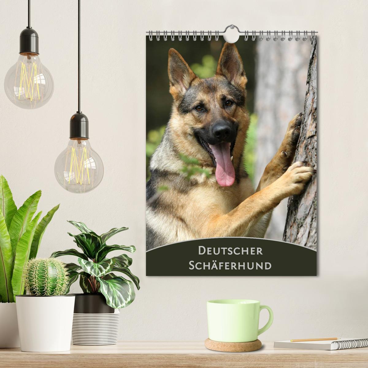 Bild: 9783457078181 | Deutscher Schäferhund (Wandkalender 2025 DIN A4 hoch), CALVENDO...