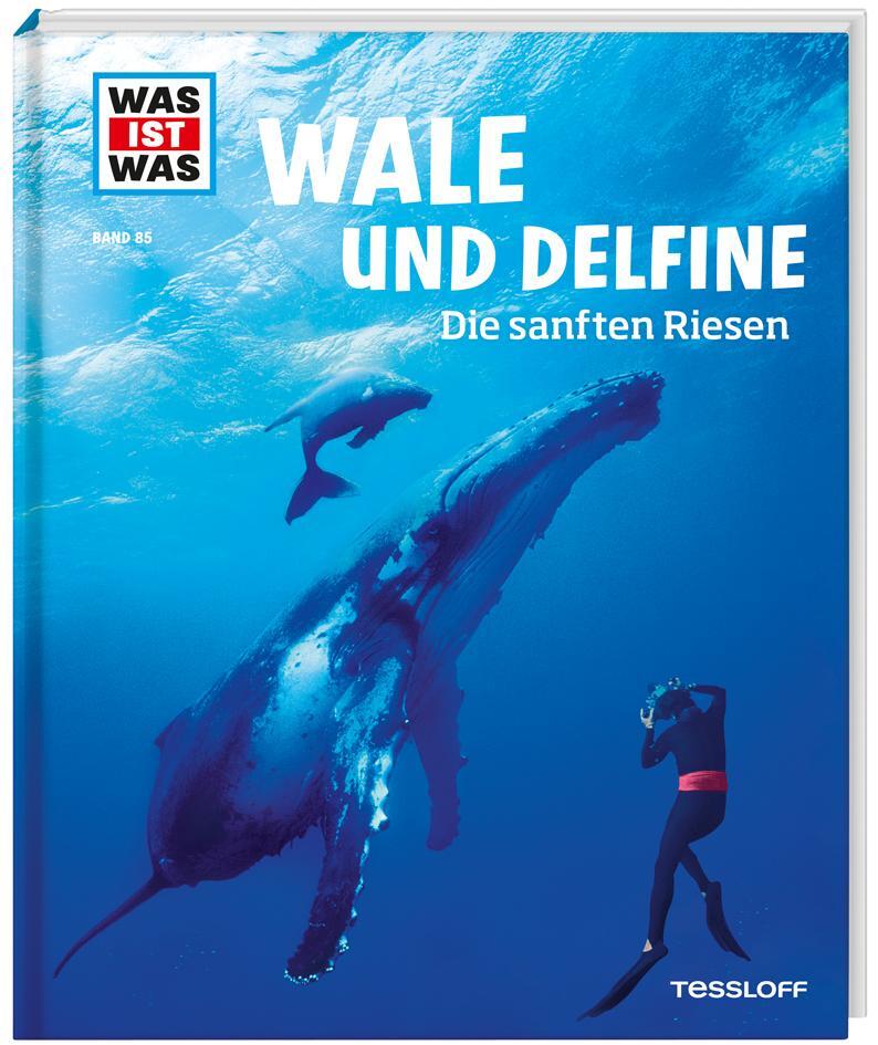 Cover: 9783788620349 | WAS IST WAS Band 85 Wale und Delfine. Die sanften Riesen | Baur | Buch