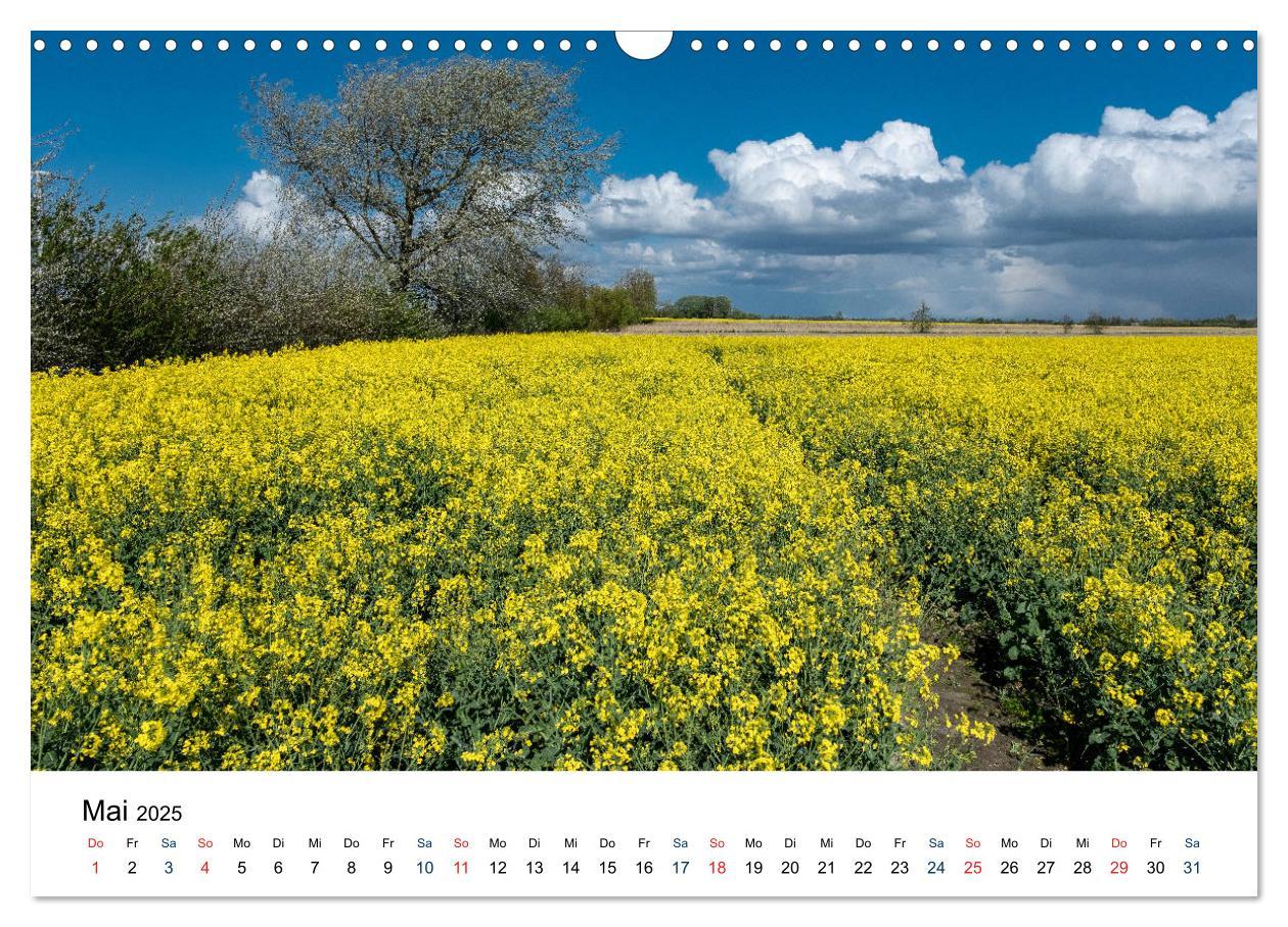 Bild: 9783435150083 | Unterwegs in Nordfriesland (Wandkalender 2025 DIN A3 quer),...