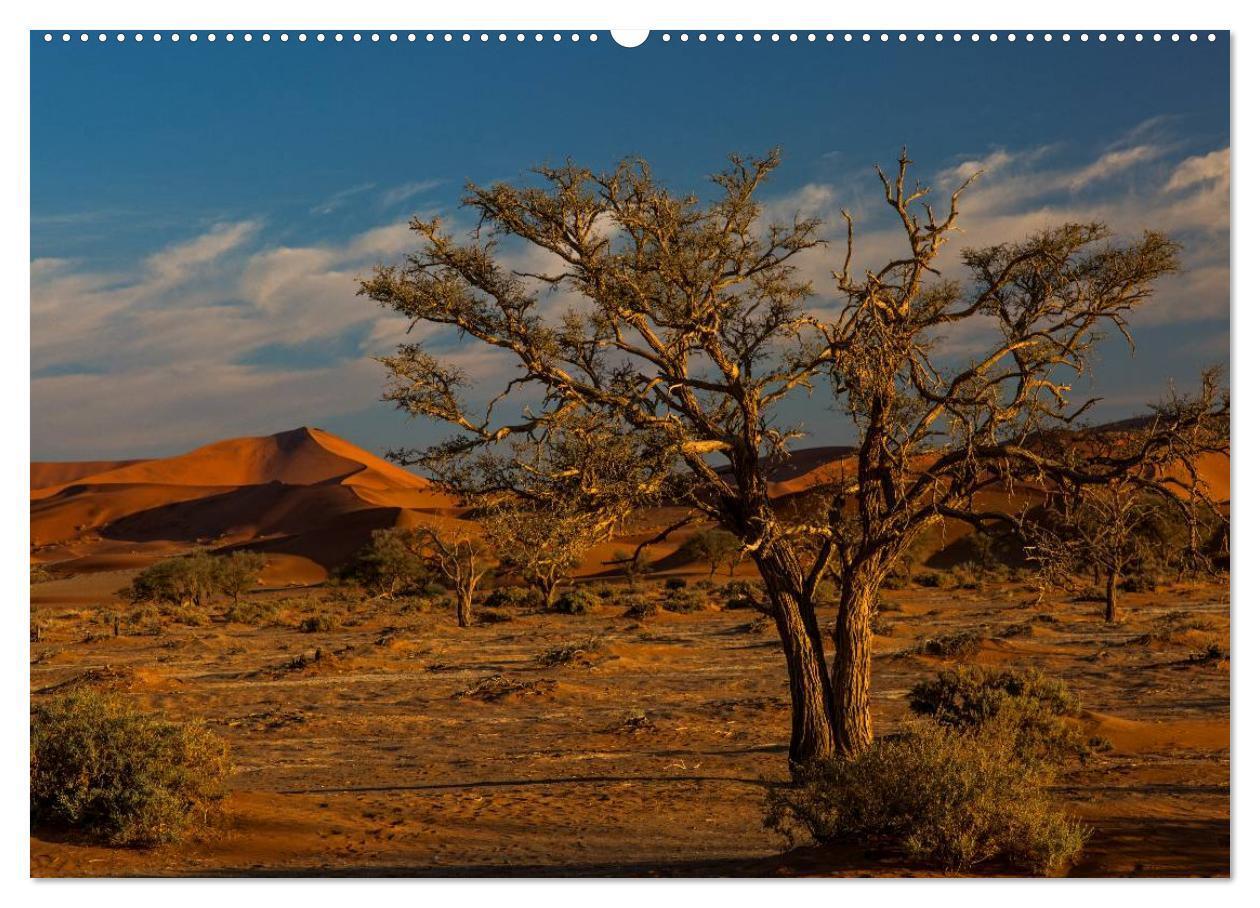 Bild: 9783435588312 | Blickpunkte in Namibia (Wandkalender 2025 DIN A2 quer), CALVENDO...