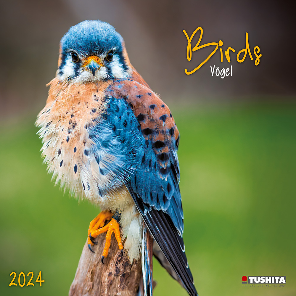 Cover: 9783959292504 | Birds in our Garden 2024 | Kalender 2024 | Kalender | Drahtheftung